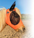 Orange/Pony
