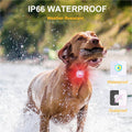 Tubasion 2-Pack Dog Lights for Night Walking, Upgraded 8 Modes Rechargeable Dog Collar Lights for Nighttime Clip On, IPX