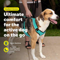 PetSafe EasySport Dog Harness, Teal Blue
