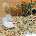 Hamster Bath Sand, 3lb Dust Free Desert Sand or Potty Litter Sand for Hamster Chinchillas Gerbil Syrian Mice Small Anima