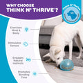Outward Hound Snoop Interactive Treat Dispensing Dog Toy, Blue, 5"