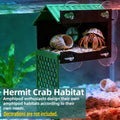 Multi-Functional Hermit Crab Hideaway | Hermit Crab Foraging cave with Ladder | Hermit Crab Climbing wall Toy | Hideout 