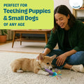 Cool Teething Stick Dental Dog Chew Toy, Soak & Freeze, 8.5"