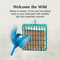 C&S Fruit n’ Nut Suet Treat, Suet Cakes for Wild Birds Including Robins, Blue Jays, Bluebirds, Tanagers, Thrushes and More, 8 Pack