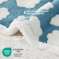 LE SURE Waterproof Puppy Blanket for Small Dogs - Washable Double Sided Dog Blankets with Warm Jacquard Shag and Soft Sherpa Fleece, Pet Cat Blanket for Couch Protection, 3D Textured Cloud, Blue