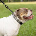 Herm Sprenger Prong Collar 3.0 mm Quick Release with Short Links & Swivel for Easy Use & Biothane Insert | Black Stainle