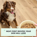Open Farm Canned Dog Food, Grain Free Chicken & Beef Pate, 12.5oz (12 pk)