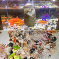River Rocks for Plants 11.25 LB Small Decorative Pebbles 1"-1.5" Polished Stones Smooth Aquarium Gravel for Fish Tank Va