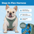 Voyager Step-in Flex Adjustable Dog Harness - Moss Green, Small
