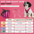 Gooby Comfort X Head-in Dog Harness, Choke-Free, Flamingo Pink, Medium