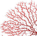 Piutouyar 2 Pcs Sea Fan Coral Decorations, Red, 11.8inch & 6.7inch