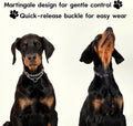 Chain Martingale Dog Collar, No Pull Reflective Training Collar, Purple, M