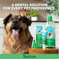 TropiClean Fresh Breath Dental Foam Spray for Dogs & Cats | Quick Breath Freshener and Teeth Cleaning Solution | Made in The USA | 4.5oz.