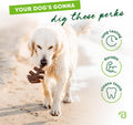 Benebone Fishbone Durable Dog Chew Toy for Aggressive Chewers