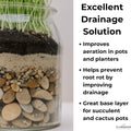 GARDENWISE Fine Sand for Plants – Horticultural Sand for Succulents, Cactus, Potting Mixes, Terrariums & Decorative Indo