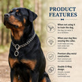 Freezx Chain Choke Collar for Medium Dogs,Slip Metal Training Chains