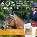 Absorbine Bute-Less Performance Advanced Formula Horse Supplement Pellets, Supports Healthy Inflammatory Response & GI T