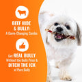 GOOD 'N' FUN Twists Long-Lasting Dog Treat with Real Bully, 12 Count