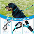 Dog Leash, Braided Rope Traction – Walking Training Lead for Medium/Large Dogs ((1/2") x 6FT, Light Blue)