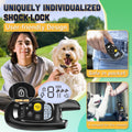 Dog Shock Collar with Remote Control- Electric Collar for Dogs Training Rechargeable, Training Collar for Small Medium L