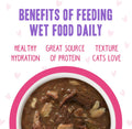 Weruva B.F.F. OMG - Best Feline Friend Oh My Gravy!, Rainbow A Gogo Variety Pack! Cat Food, 3oz Pouch (Pack of 12)