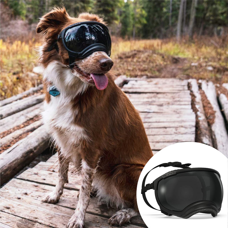 Rex Specs V2 Dog Goggles (Small, Black)