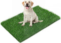 LOOBANI 33.2in x 21in Replacement Artificial Grass for Dogs Potty Training