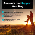 Nutri-Vet Aspirin for Dogs, Dog Aspirin, Pet Essentials, Inflammation Care, Joint Support for Seniors, Arthritis Pain Relief, 300mg per Tablet, Over 50 lbs, 75 Count