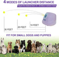 BESTHLS Automatic Dog Ball Launcher Tennis Ball Thrower Machine with 6 Ball