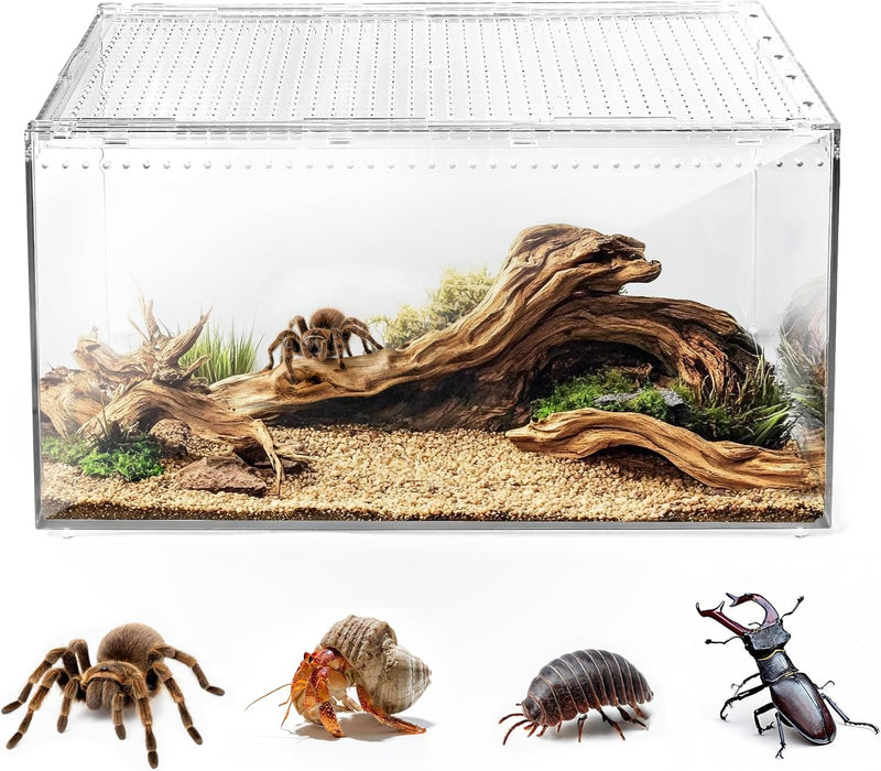 AZV Escape-Proof Tarantula Enclosure,2.37 Gallon Clear PC Reptile Terrarium