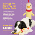 Yomp Chicken Dog Toy – Durable Stuffed, No Squeaker Dog Toys with Natural Canvas and Crinkle Paper – Interactive Stuffed