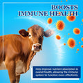 Equerry's Large Animal Probiotic | Supplements for Gut Health and Nutrient Absorption | Probiotics and Digestive enzymes