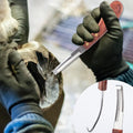 12pcs Professional Farrier Tools Farrier kit Horse shoeing Tools Farrier Supplies Farrier Tools for Horses Cattle Sheep 