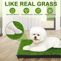 Dog Grass Pad with Tray, 23''X17'' Small Artificial Turf Grass Potty, Reusable Puppy Pee Pads for Dogs, Portable Dog Lit