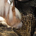 Fabbay 2 Pcs Slow Feed Hay Net for Horses, 35 x 31 Inch Hay Bag, Black