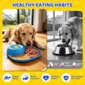 Slow Feeder Dog Bowls, Lick Mat & Interactive Rolling Ball, Dishwasher Safe