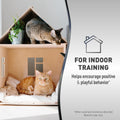 Nature's Miracle Advanced Catnip Training Spray for Indoor Training, 8 oz
