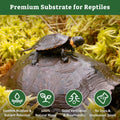 Riare 6OZ Natural Sphagnum Moss for Reptiles- Terrarium Reptiles Moss