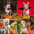 Sweetude 100 Pcs Halloween Dog Collar Flower Bows for Small Medium Large