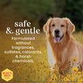 Burt's Bees for Pets Oatmeal Dog Conditioner with Colloidal Oat Flour and Honey, Moisturizes and Softens Dry Dog Coats, pH Balanced and Fragrance-Free, 95% Natural Origin, 10 Fl Oz