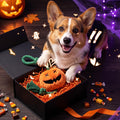 Halloween Fall Pumpkin Squeaky Tug Rope Dog Toys for Small & Medium Dogs