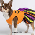 Fitwarm Halloween Pumpkin Dog Dress, Funny Dog Halloween Costumes, Doggy Clothes for Small Dogs Girl, Pet Apparel, Orang
