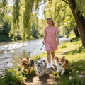 3‑Way No‑Tangle Dog Leash, 360° Swivel Heavy Duty for 2‑3 Pets