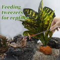 10.63" L Aquarium Straight Feeding Tweezer for Feeding with Red Rubber Tip