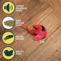 OurPets Play-N-Squeak Real Birds Interactive Cat Toys with Catnip (Cat Toys for Indoor Cats; Catnip Toy for Cats with Bi