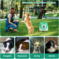 Automatic Dog Ball Launcher, Dog Ball Thrower with 9.84-29.52ft 3 Launching Distance, Rechargeable Dog Toy Mental Stimulation Training Game with 1.96" Tennis Balls for Energetic Small Medium Dogs