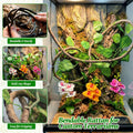 5 Pcs Reptile Plants & Habitat Decor Kit - 3 Artificial Phalaenopsis Orchid & Large 5ft Jungle Vine Branch, Terrarium Ta