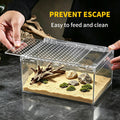Reptile Growth Small Reptile Terrarium,Tarantula Enclosure with Magnetic Button, 8"x 6" x4" Lizard Enclosure,Reptile Bre