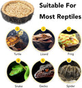 CalPalmy 2 Pack Reptile Water and Food Bowls, Novelty Food Bowl for Lizards, Young Bearded Dragons, Small Snakes and Mor