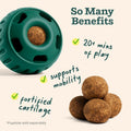 WOOF Hip & Joint Pupsicle Refill Pops - Dog Supplement for the Pupsicle Toy to Support Joint Health, Recovery, and Mobility - Large Pops